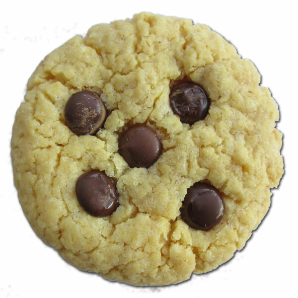 cookie chocolat noir sans gluten sans lait sans oeuf